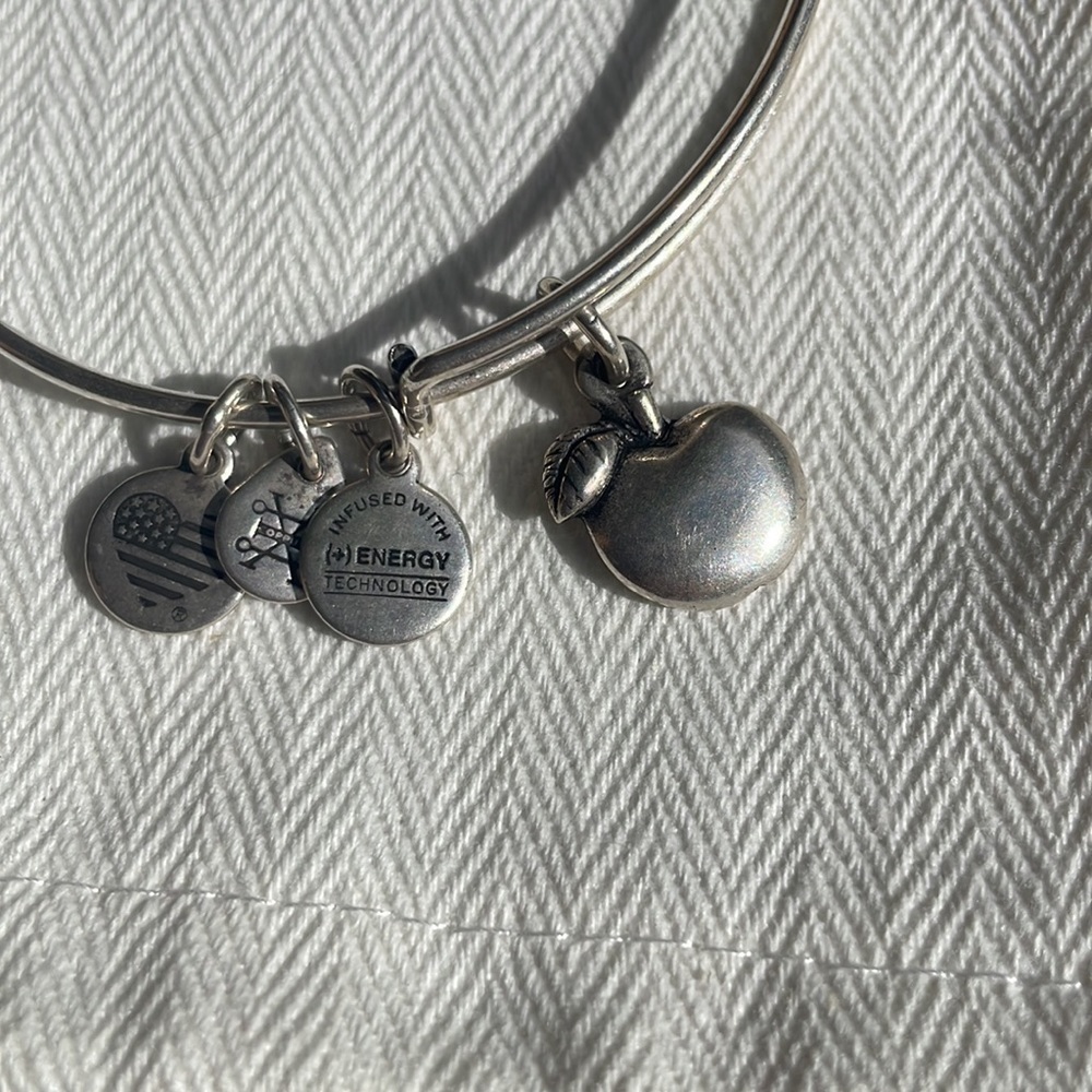 Alex and Ani Apple Bangle Bracelet Rare Charm silver - Picture 2 of 2